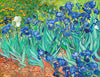 Irises - Vincent van Gogh